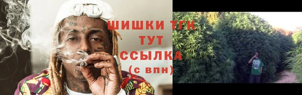 ешки Осинники