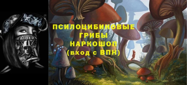 первитин Осташков